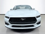 2026 Ford Mustang Base