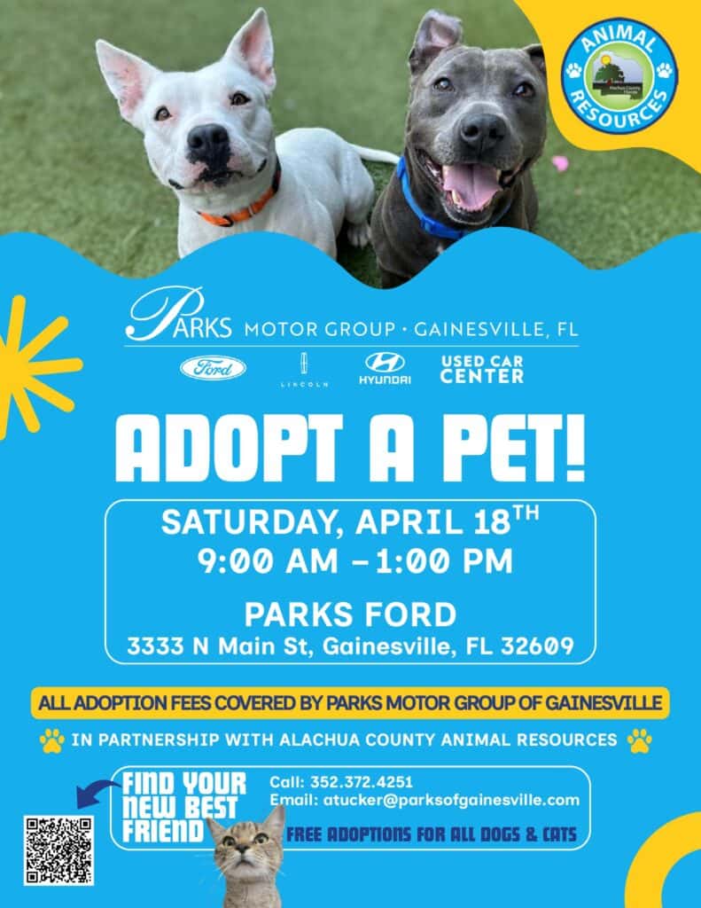 Flyer for a pet adoption event with two happy dogs and a cat, text says "ADOPT A PET!" and event details